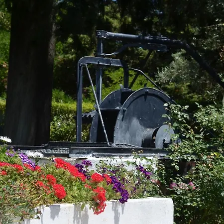 Casa Da Avo Genoveva