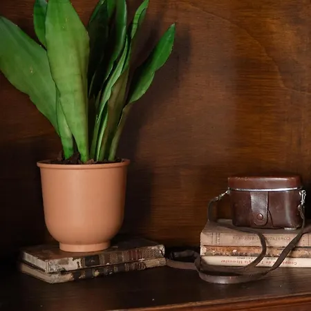 Country house Casa Da Avo Genoveva