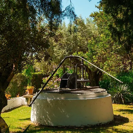 Casa Da Avo Genoveva Lantställe Tomar