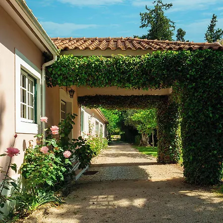 Casa Da Avo Genoveva Country house *