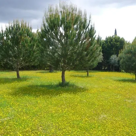 Lantställe Casa Da Avo Genoveva