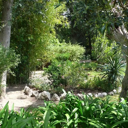 Casa Da Avo Genoveva Lantställe Tomar