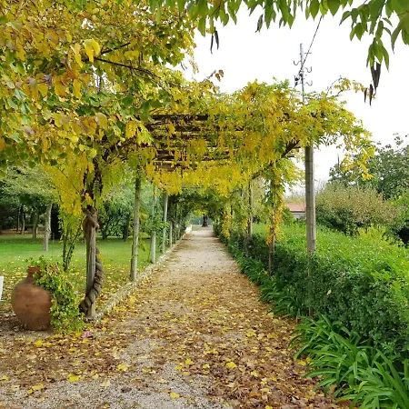 Gospodarstwo wiejskie Casa Da Avo Genoveva Tomar