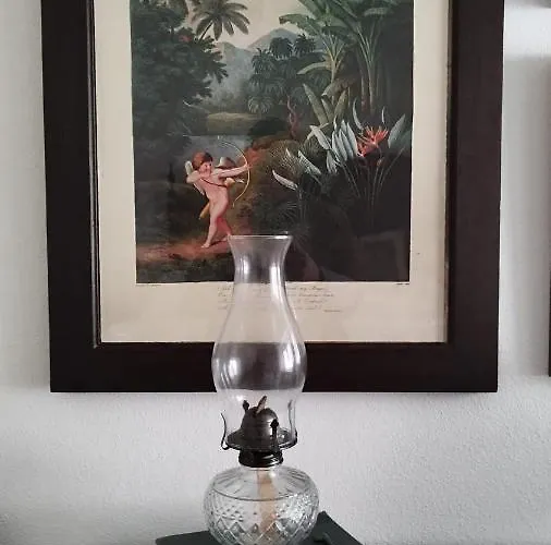 Casa de Campo Casa Da Avo Genoveva Tomar