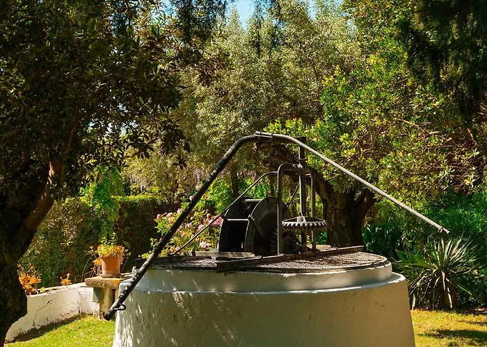 Casa Da Avo Genoveva Casa di campagna Tomar