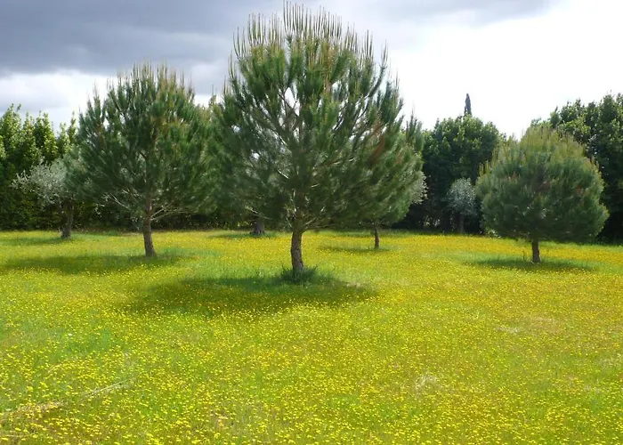 Casa di campagna Casa Da Avo Genoveva