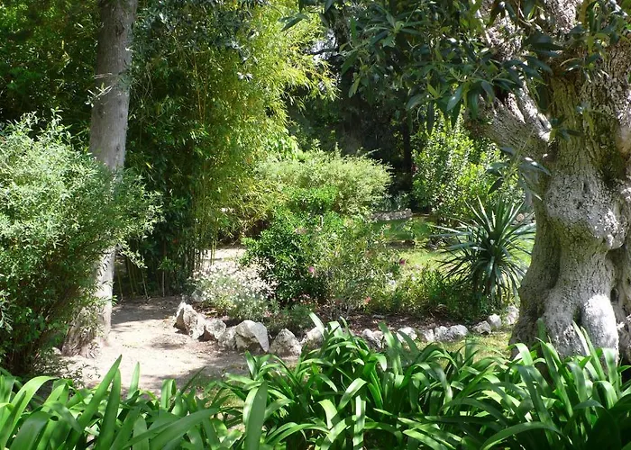 Casa Da Avo Genoveva Casa de Campo Tomar